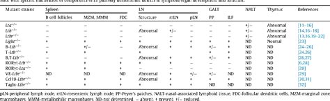 Lymphotoxin in physiology of lymphoid tissues .